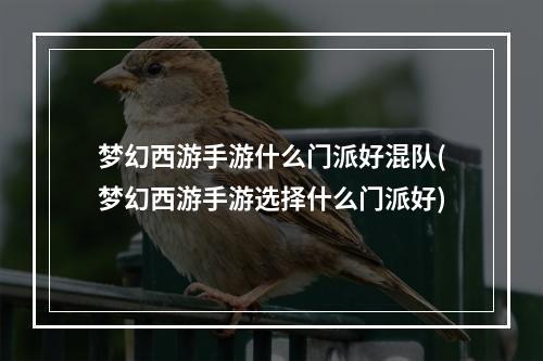 梦幻西游手游什么门派好混队(梦幻西游手游选择什么门派好)