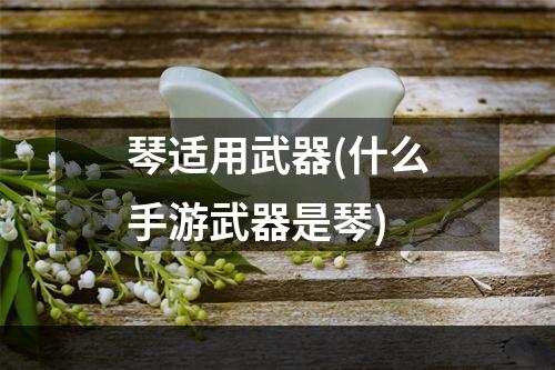 琴适用武器(什么手游武器是琴)