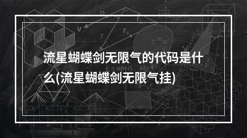 流星蝴蝶剑无限气的代码是什么(流星蝴蝶剑无限气挂)