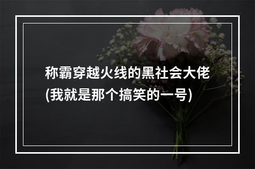 称霸穿越火线的黑社会大佬(我就是那个搞笑的一号)