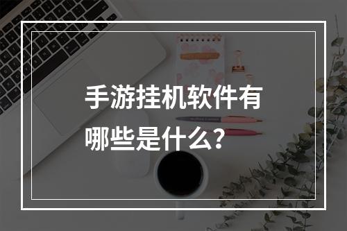 手游挂机软件有哪些是什么？