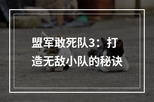 盟军敢死队3：打造无敌小队的秘诀