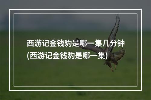 西游记金钱豹是哪一集几分钟(西游记金钱豹是哪一集)