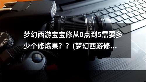 梦幻西游宝宝修从0点到5需要多少个修炼果？？(梦幻西游修炼果)