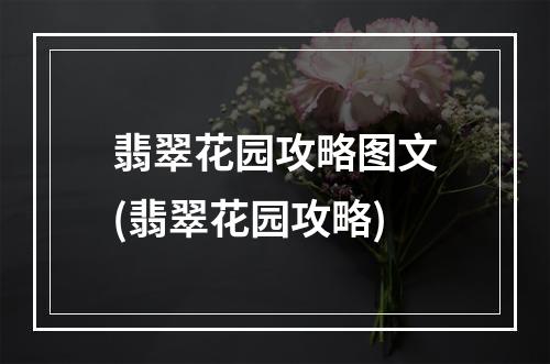 翡翠花园攻略图文(翡翠花园攻略)