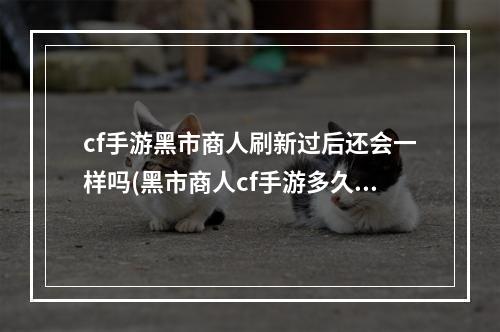 cf手游黑市商人刷新过后还会一样吗(黑市商人cf手游多久)