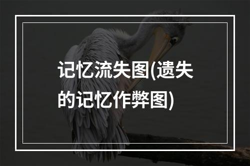 记忆流失图(遗失的记忆作弊图)