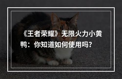 《王者荣耀》无限火力小黄鸭：你知道如何使用吗？