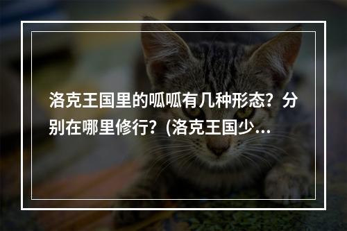 洛克王国里的呱呱有几种形态？分别在哪里修行？(洛克王国少林呱呱)