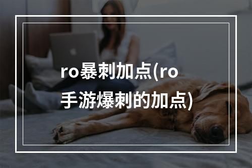 ro暴刺加点(ro手游爆刺的加点)