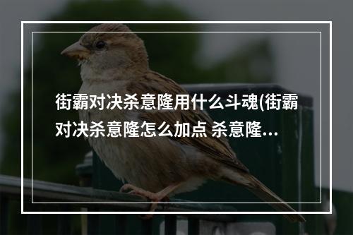 街霸对决杀意隆用什么斗魂(街霸对决杀意隆怎么加点 杀意隆加点推荐)