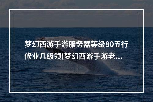 梦幻西游手游服务器等级80五行修业几级领(梦幻西游手游老服务器)