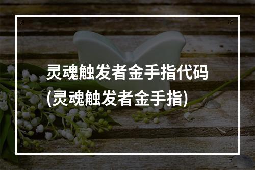 灵魂触发者金手指代码(灵魂触发者金手指)