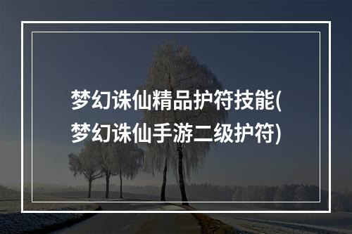 梦幻诛仙精品护符技能(梦幻诛仙手游二级护符)