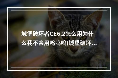 城堡破坏者CE6.2怎么用为什么我不会用呜呜呜(城堡破坏者修改器)