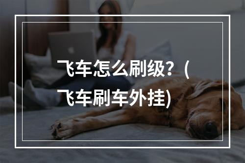 飞车怎么刷级？(飞车刷车外挂)