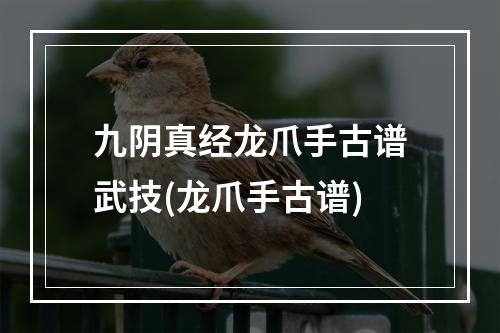 九阴真经龙爪手古谱武技(龙爪手古谱)