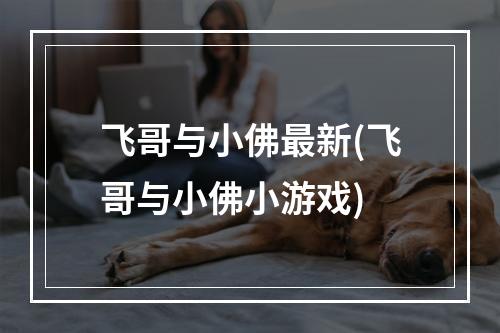 飞哥与小佛最新(飞哥与小佛小游戏)