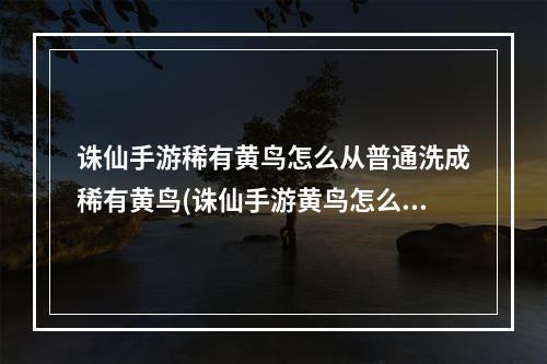 诛仙手游稀有黄鸟怎么从普通洗成稀有黄鸟(诛仙手游黄鸟怎么抓)