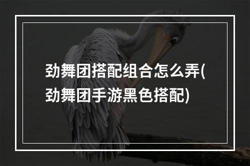 劲舞团搭配组合怎么弄(劲舞团手游黑色搭配)