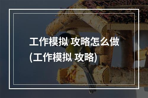 工作模拟 攻略怎么做(工作模拟 攻略)