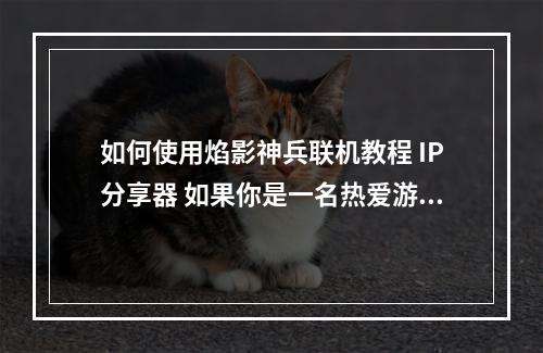 如何使用焰影神兵联机教程 IP分享器 如果你是一名热爱游戏的玩家，那么可能会遇到一些游戏需要联机才能体验的情况。而焰影神兵联机教程 IP分享器这个工具便可以满足