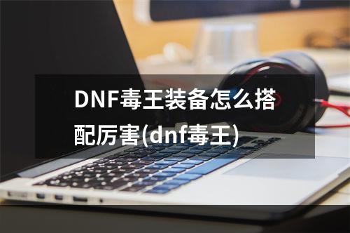 DNF毒王装备怎么搭配厉害(dnf毒王)