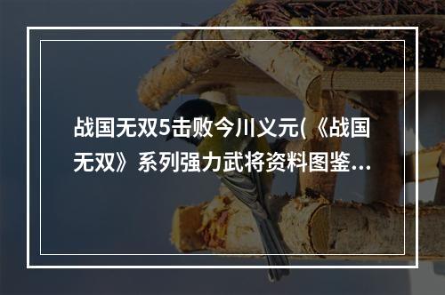 战国无双5击败今川义元(《战国无双》系列强力武将资料图鉴石川五右卫门)