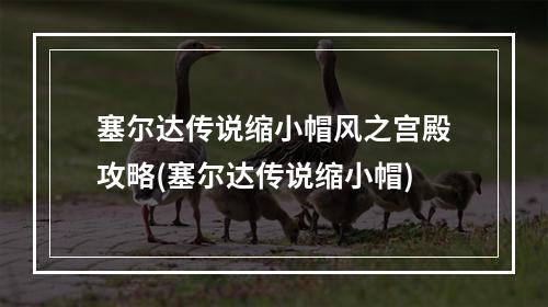 塞尔达传说缩小帽风之宫殿攻略(塞尔达传说缩小帽)