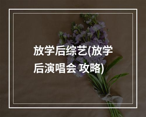 放学后综艺(放学后演唱会 攻略)