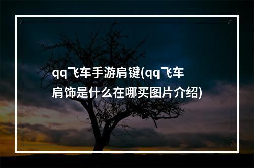 qq飞车手游肩键(qq飞车肩饰是什么在哪买图片介绍)