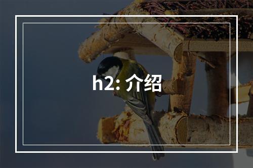 h2: 介绍