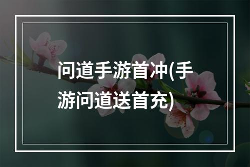 问道手游首冲(手游问道送首充)