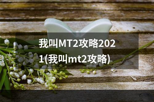 我叫MT2攻略2021(我叫mt2攻略)