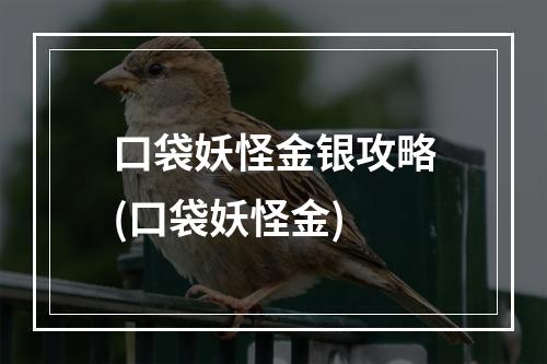 口袋妖怪金银攻略(口袋妖怪金)