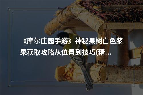 《摩尔庄园手游》神秘果树白色浆果获取攻略从位置到技巧(精通白色浆果获取，轻松升级)