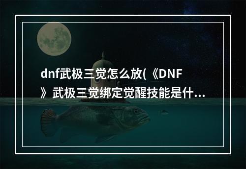 dnf武极三觉怎么放(《DNF》武极三觉绑定觉醒技能是什么 武极三觉绑定觉醒技能)