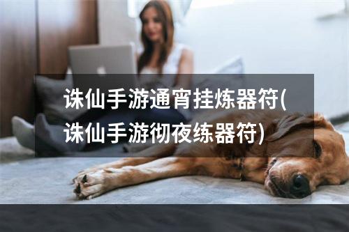 诛仙手游通宵挂炼器符(诛仙手游彻夜练器符)