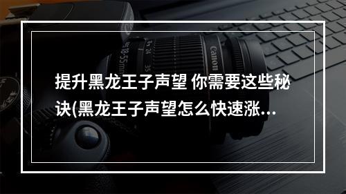 提升黑龙王子声望 你需要这些秘诀(黑龙王子声望怎么快速涨)