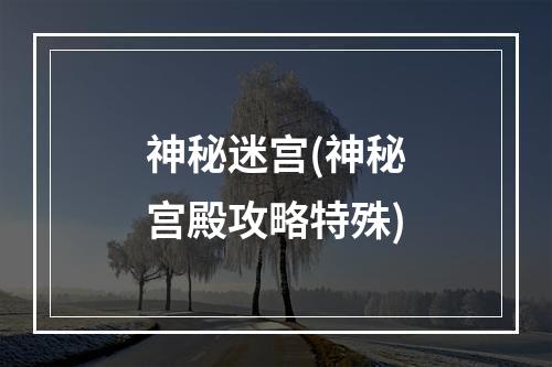 神秘迷宫(神秘宫殿攻略特殊)