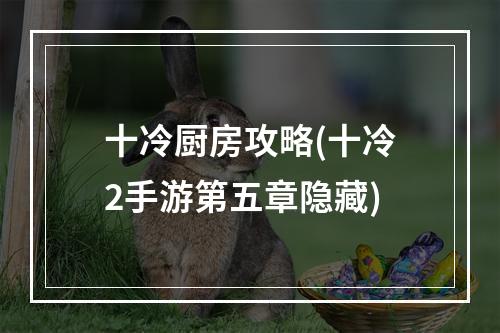 十冷厨房攻略(十冷2手游第五章隐藏)