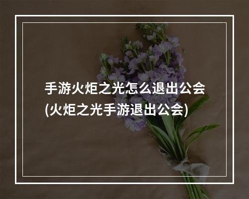 手游火炬之光怎么退出公会(火炬之光手游退出公会)