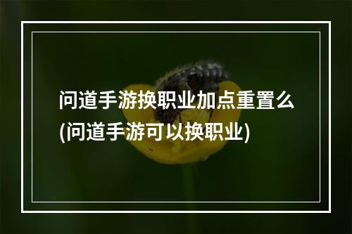 问道手游换职业加点重置么(问道手游可以换职业)