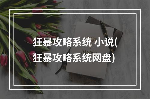 狂暴攻略系统 小说(狂暴攻略系统网盘)