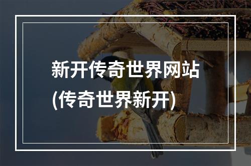 新开传奇世界网站(传奇世界新开)