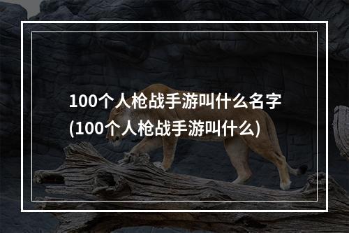 100个人枪战手游叫什么名字(100个人枪战手游叫什么)