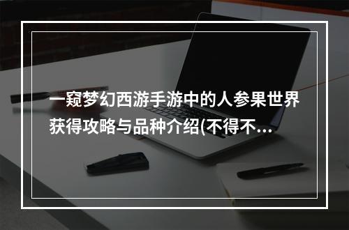 一窥梦幻西游手游中的人参果世界获得攻略与品种介绍(不得不看)