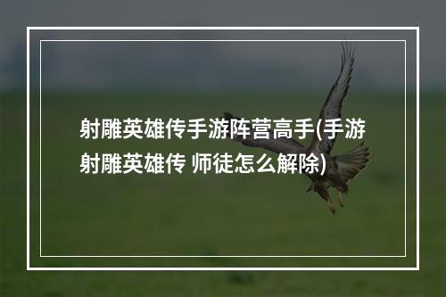 射雕英雄传手游阵营高手(手游射雕英雄传 师徒怎么解除)