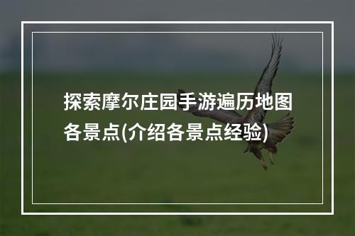 探索摩尔庄园手游遍历地图各景点(介绍各景点经验)