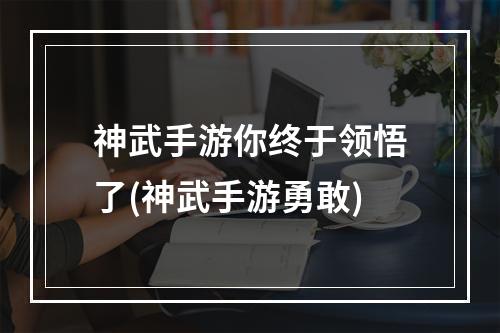 神武手游你终于领悟了(神武手游勇敢)